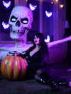 rixiadigivolved Altpins Profile Picture
