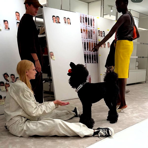 alexconsani instagram image archive image