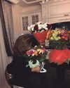alishevs Altpins Profile Picture