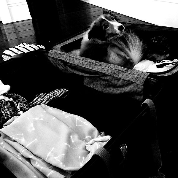 gigihadid instagram image archive image