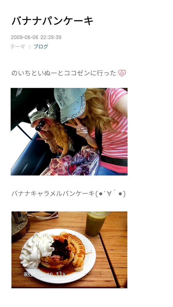 piyokoblog archive image