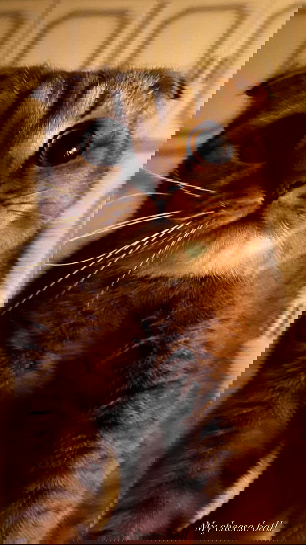 taylor.creeden taylor.creeden archive image