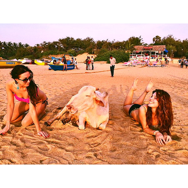 sychevskaya instagram image archive image