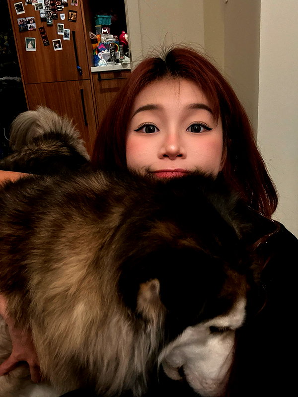 shulunc instagram image archive image