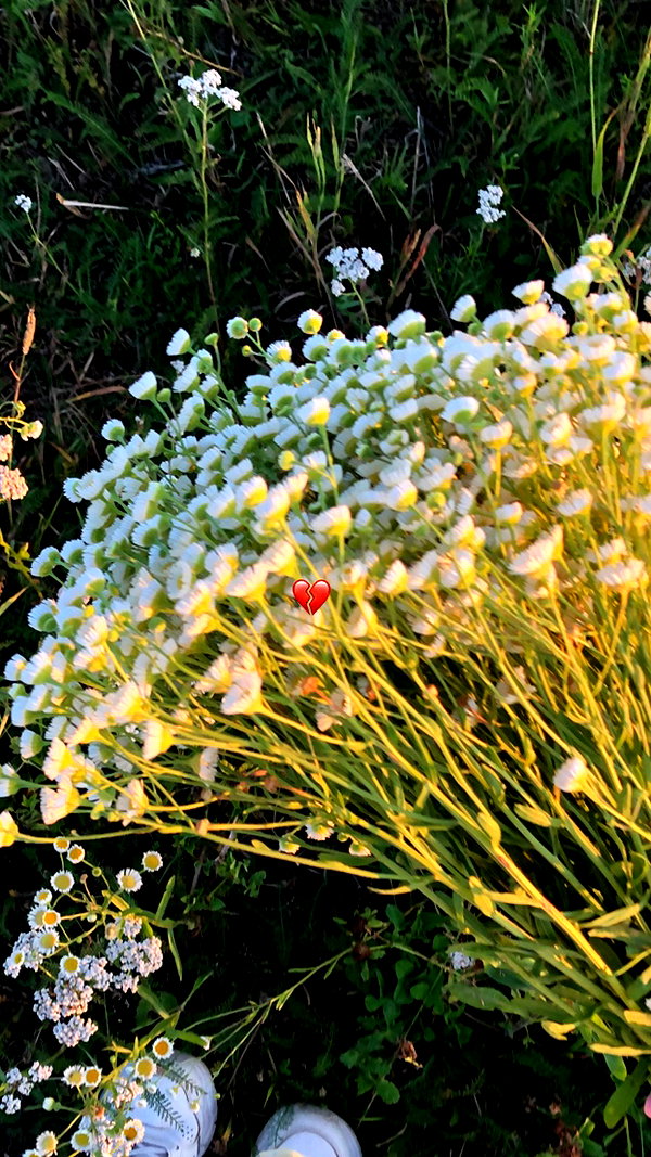 nasstellaa instagram image archive image