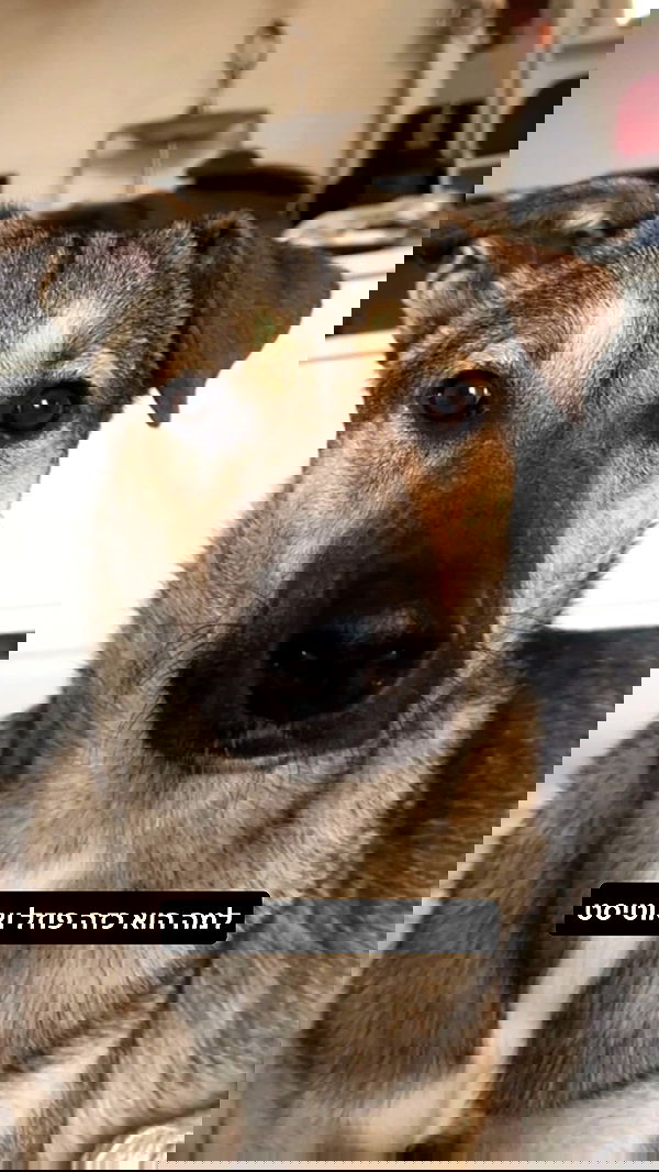 moonliliaght moonliliaght archive image