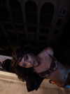 jasminxie2 Altpins Profile Picture