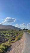 mishel_d_ Altpins Profile Picture