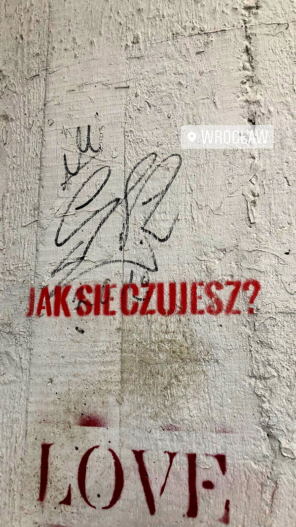 alexsndranowak instagram image archive image
