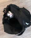 sophiecharlotth Altpins Profile Picture