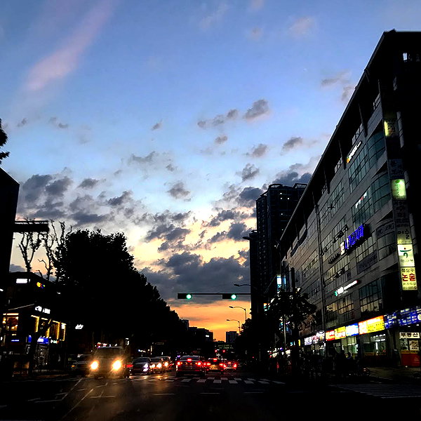 daxbin instagram image archive image