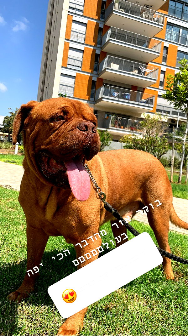 Archived image from @elaysolomon on Instagram