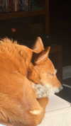 bat.wiings Altpins Profile Picture