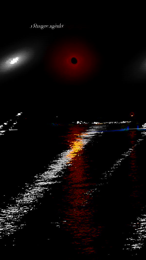 taylor.creeden taylor.creeden archive image