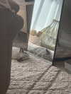 danielle.mercedie Altpins Profile Picture