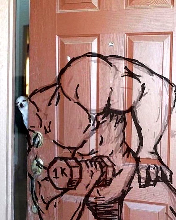 leanbeefpatty instagram image archive image