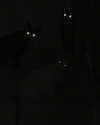 alice_hez Altpins Profile Picture