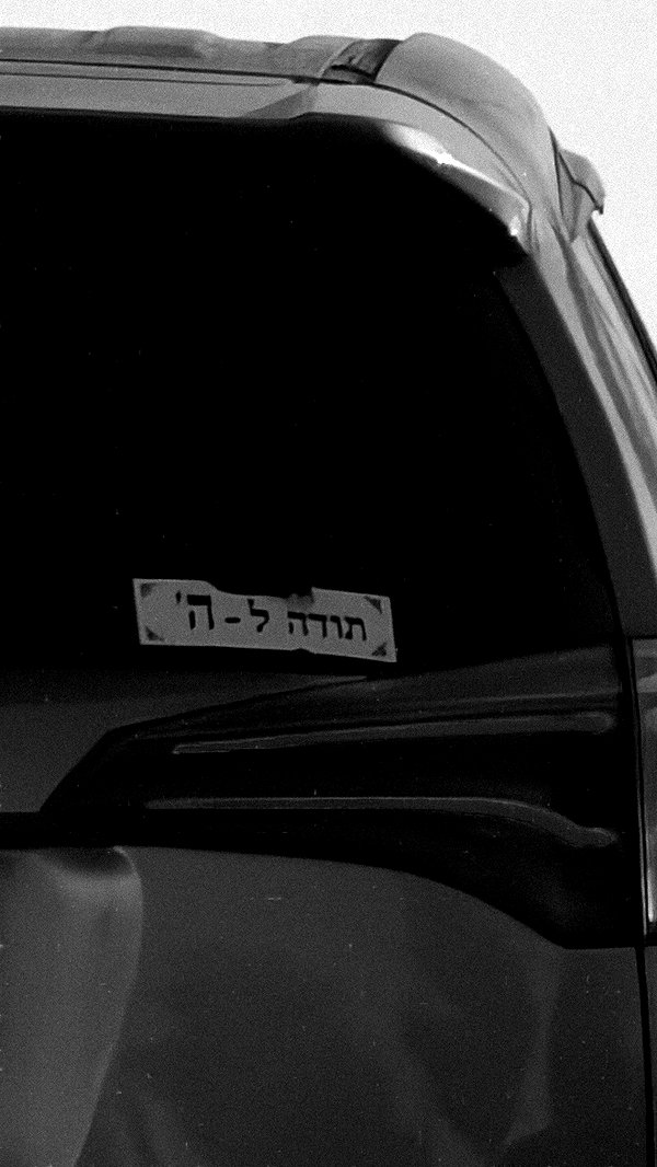 tair_alon instagram image archive image
