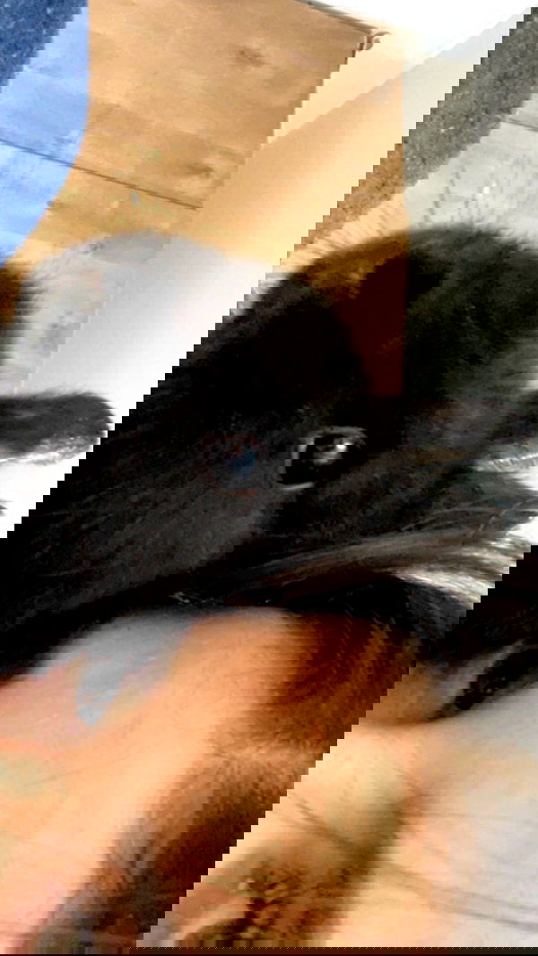 efrat_elmalich efrat_elmalich archive image