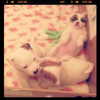 mariahcarey Altpins Profile Picture