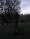 bat.wiings Altpins Profile Picture