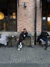 ll.lu1s Altpins Profile Picture
