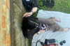 borkwsmh Altpins Profile Picture