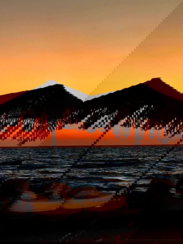 taylor.creeden taylor.creeden archive image