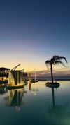 shir_revivo1 Altpins Profile Picture