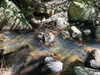 daisy_r_19 Altpins Profile Picture