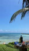 solzarubin_ Altpins Profile Picture