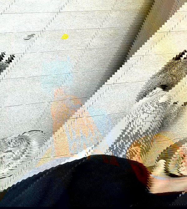 jtilb2 image ~ Altpins