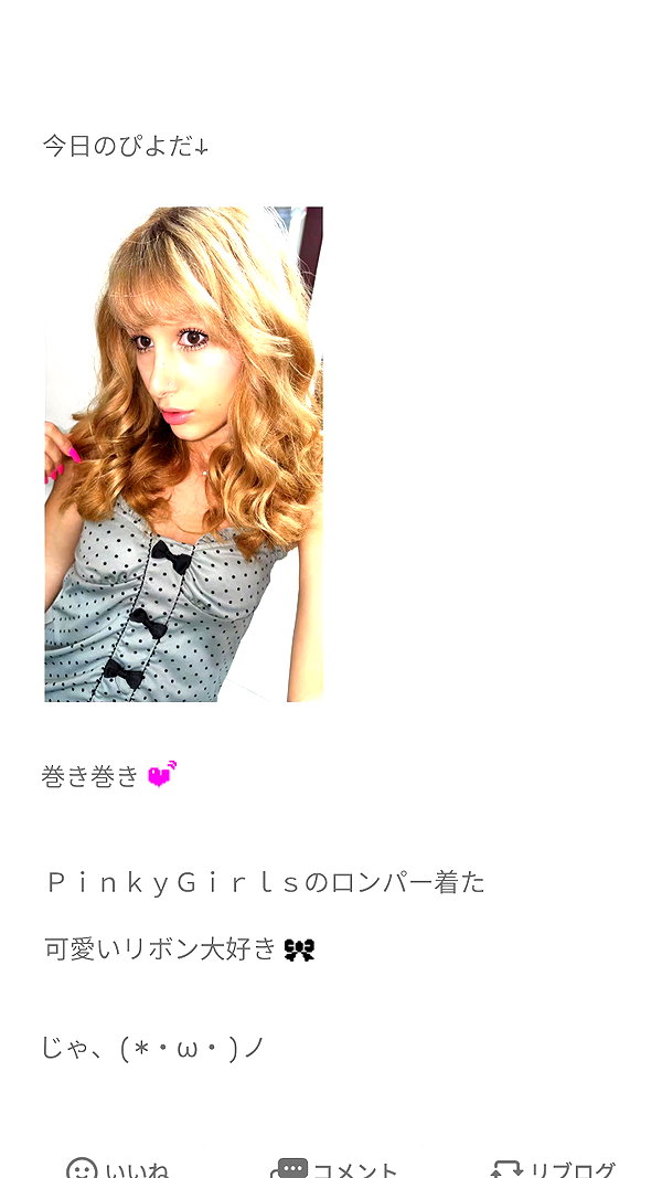 piyokoblog archive image
