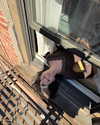 reneeebeller Altpins Profile Picture