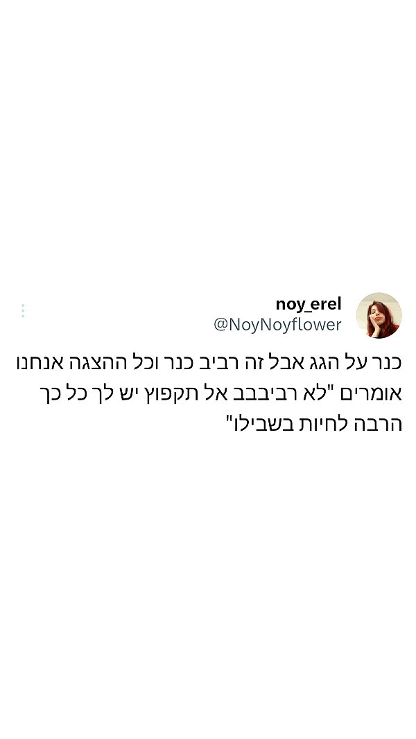 noy__erel noy__erel archive image