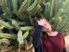 balilishon Altpins Profile Picture