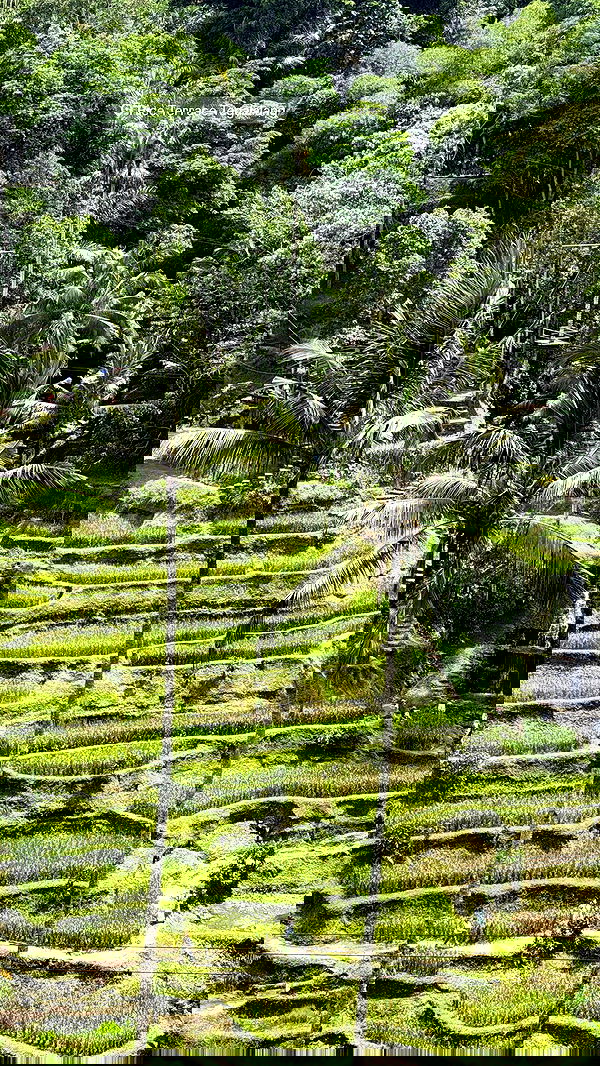 taylor.creeden taylor.creeden archive image