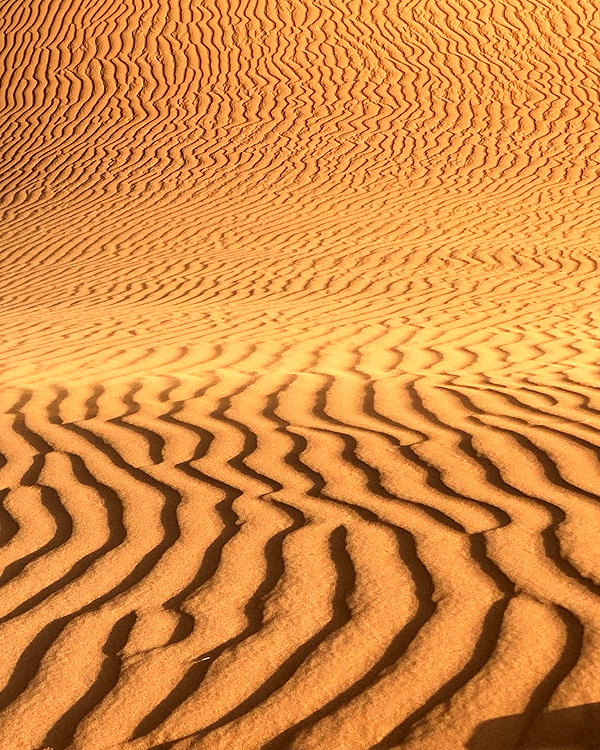 taratornquist instagram image archive image