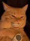 milkibunshehe Altpins Profile Picture