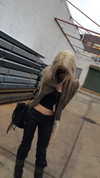 rchhhll Altpins Profile Picture