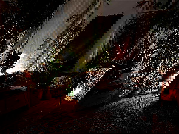 manjolamuriqi manjolamuriqi archive image