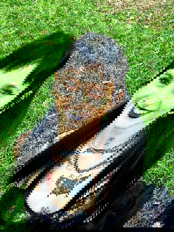 strawberryshanz strawberryshanz archive image