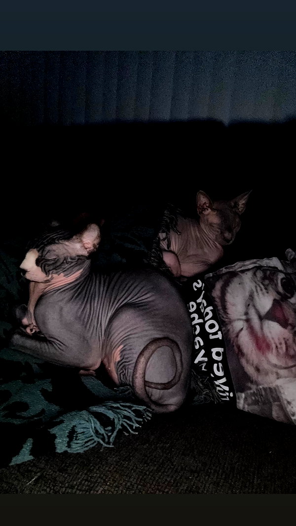 Archived image from @deadgjrl on Instagram