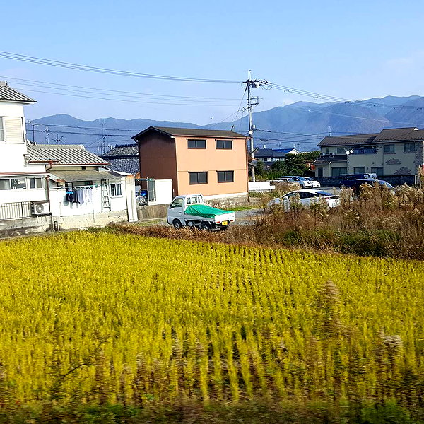 muze instagram image archive image