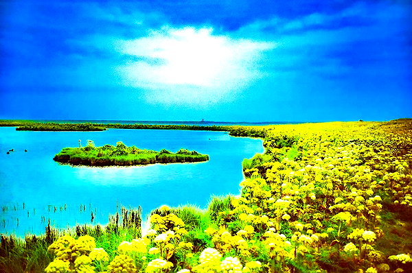 bugz4brainz instagram image archive image