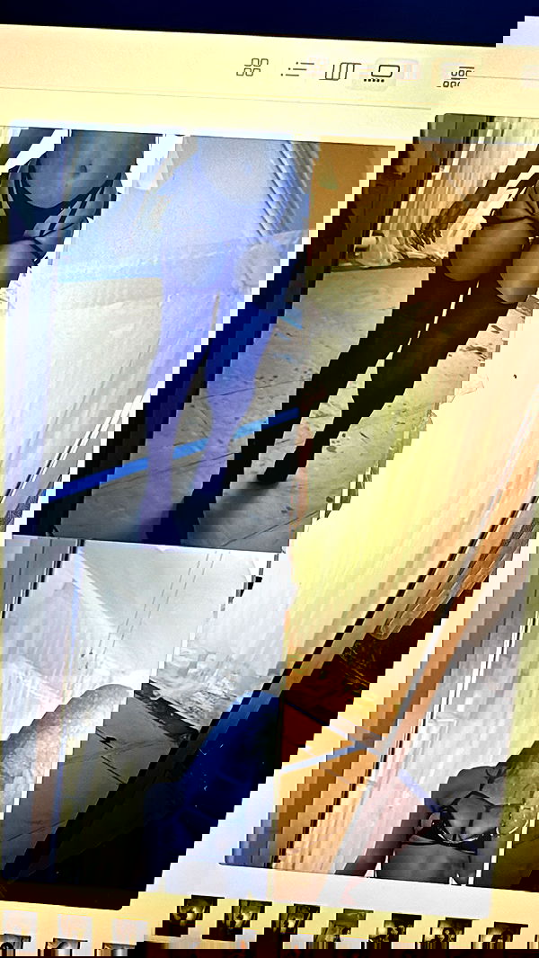 jasminxie2 jasminxie2 archive image