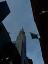 annabottoo Altpins Profile Picture