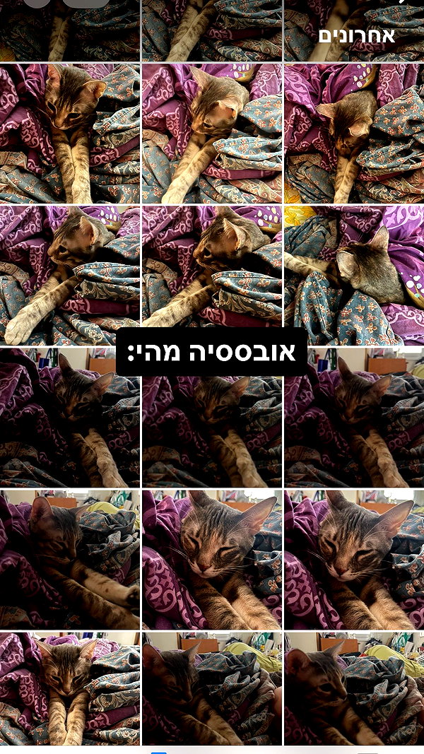 Archived image from @notchicore on Instagram