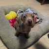 borkwsmh Altpins Profile Picture