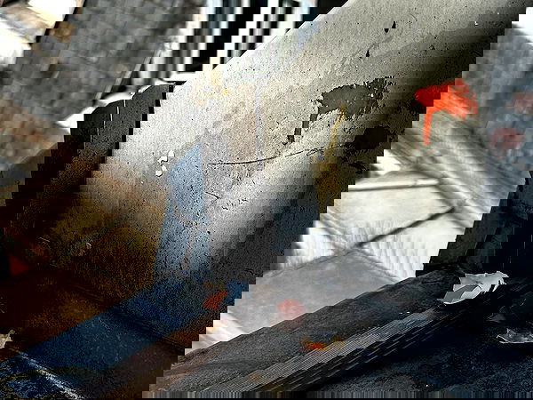 manjolamuriqi manjolamuriqi archive image